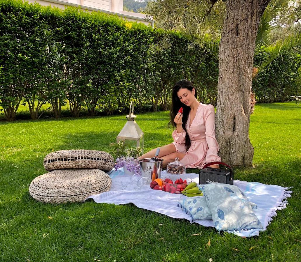 Olive Dream Thassos Luxury