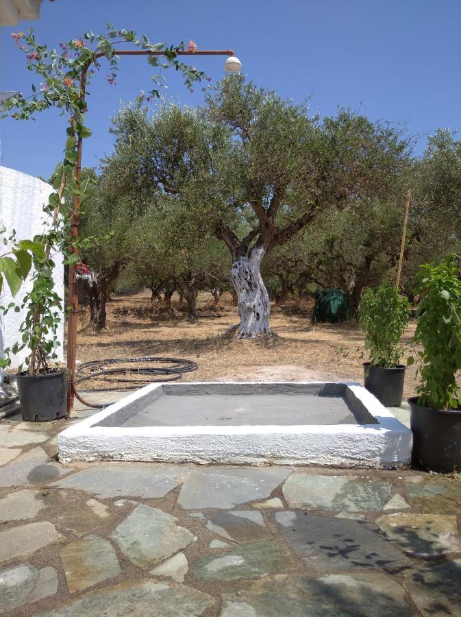 Nature Of Karapata Holiday home Koroni (Messinia)
