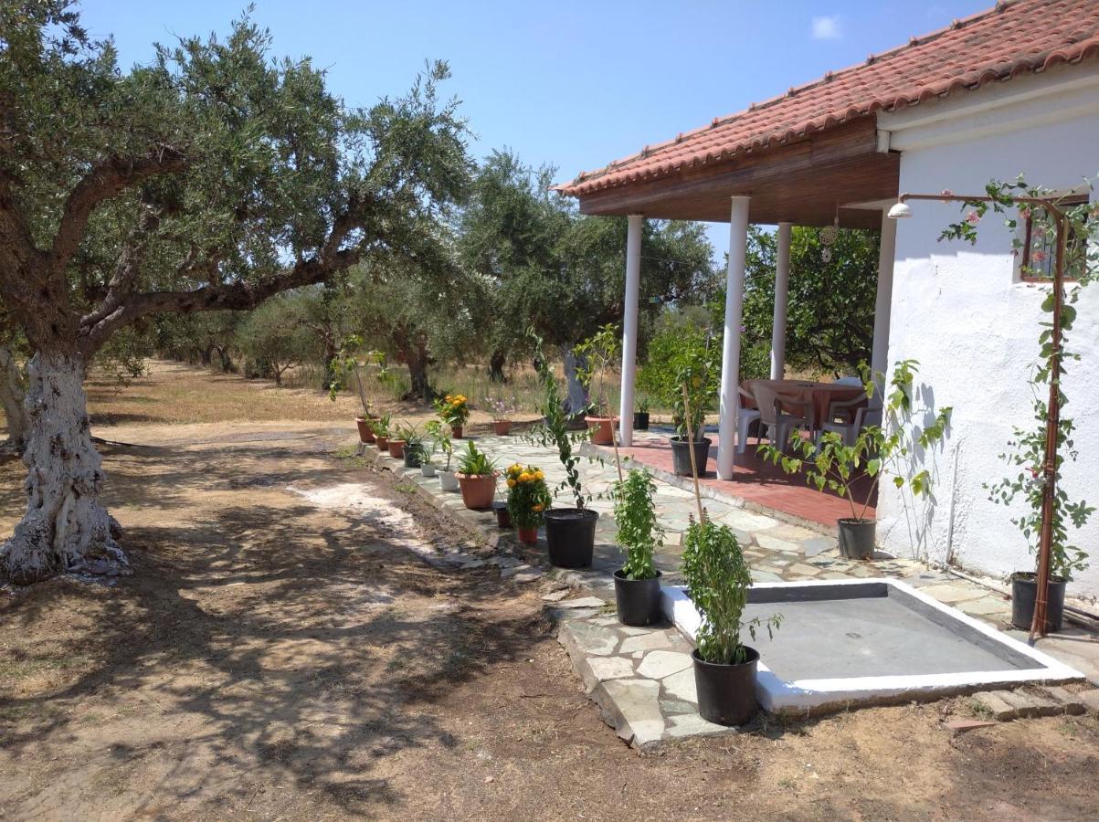Holiday home Nature Of Karapata *
