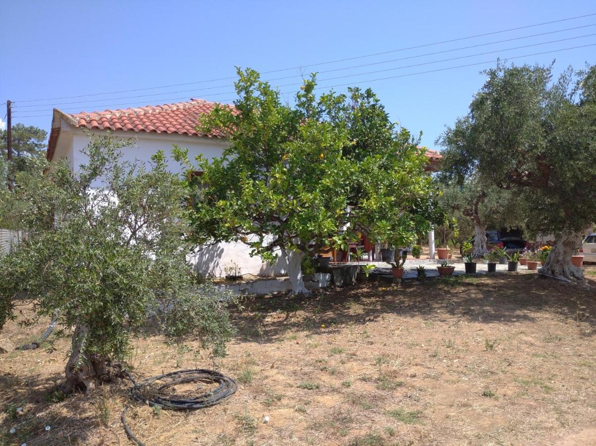 Nature Of Karapata