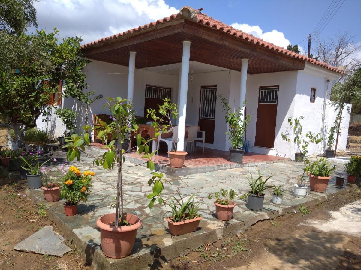 Nature Of Karapata Holiday home