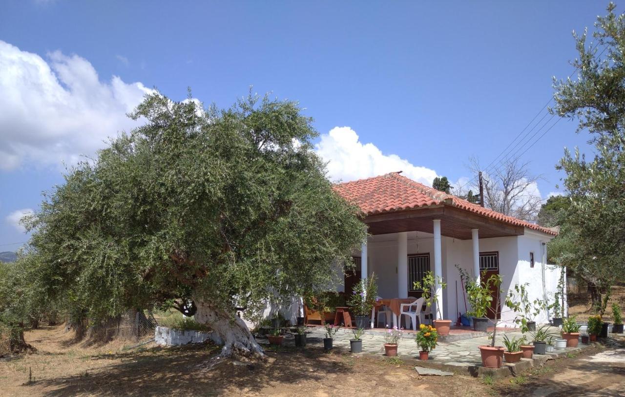 Nature Of Karapata * Koroni (Messinia)