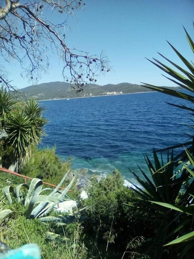 ζωη στο κυμα- Life On The Wave Holiday home Neos Marmaras