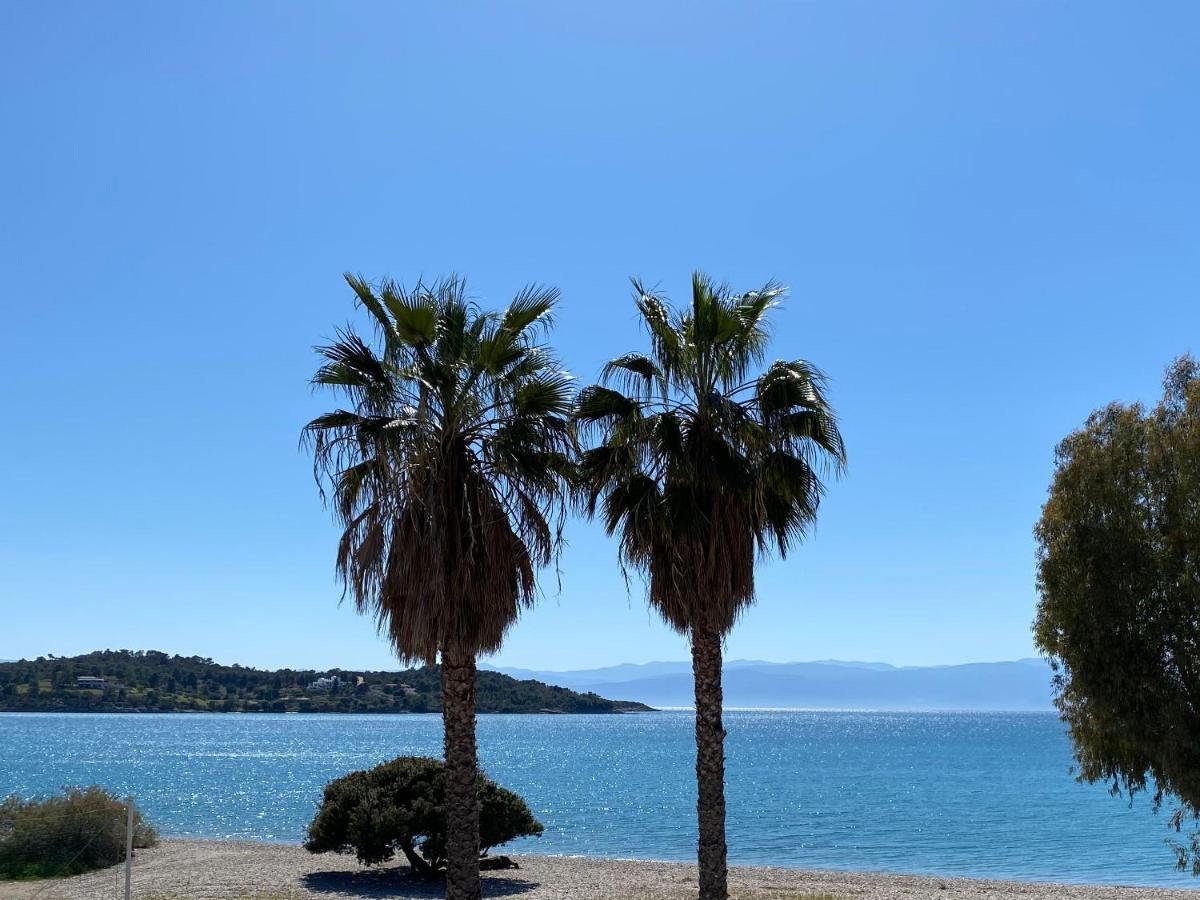 Palm * Porto Heli