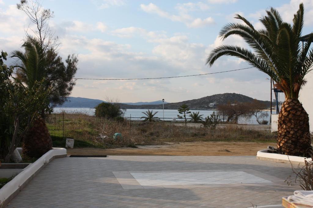 Mina's In Naxos Island