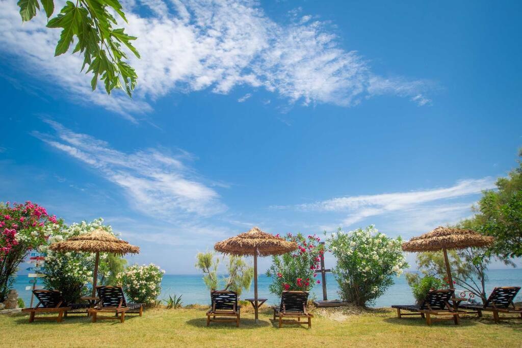 Apartment Yolo - Notte Alykes (Zakynthos)