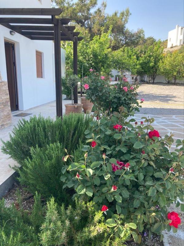 Nastazia Villa *