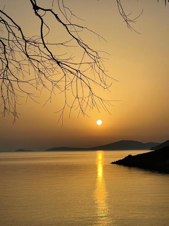 Horizon * Patmos Town