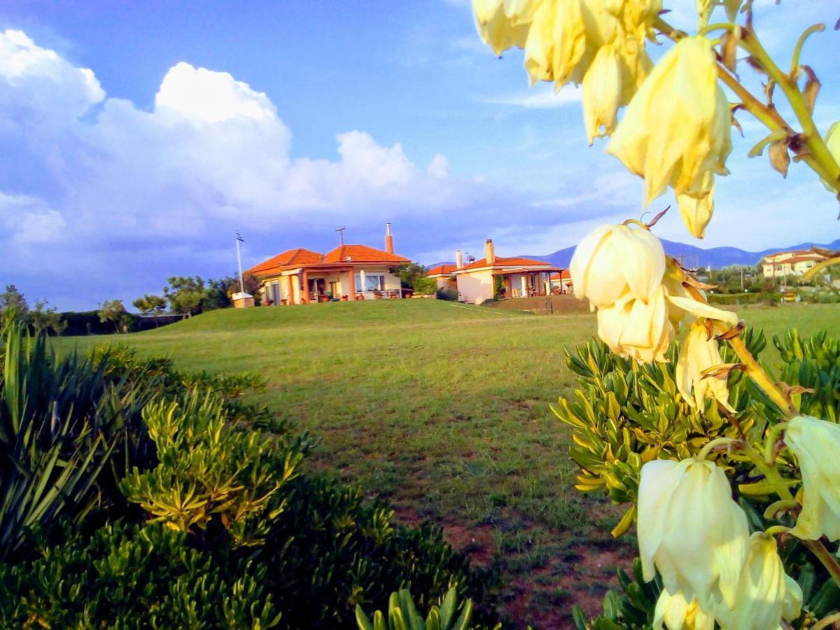 Maronia Villa Holiday home Maroneia (Rhodope)