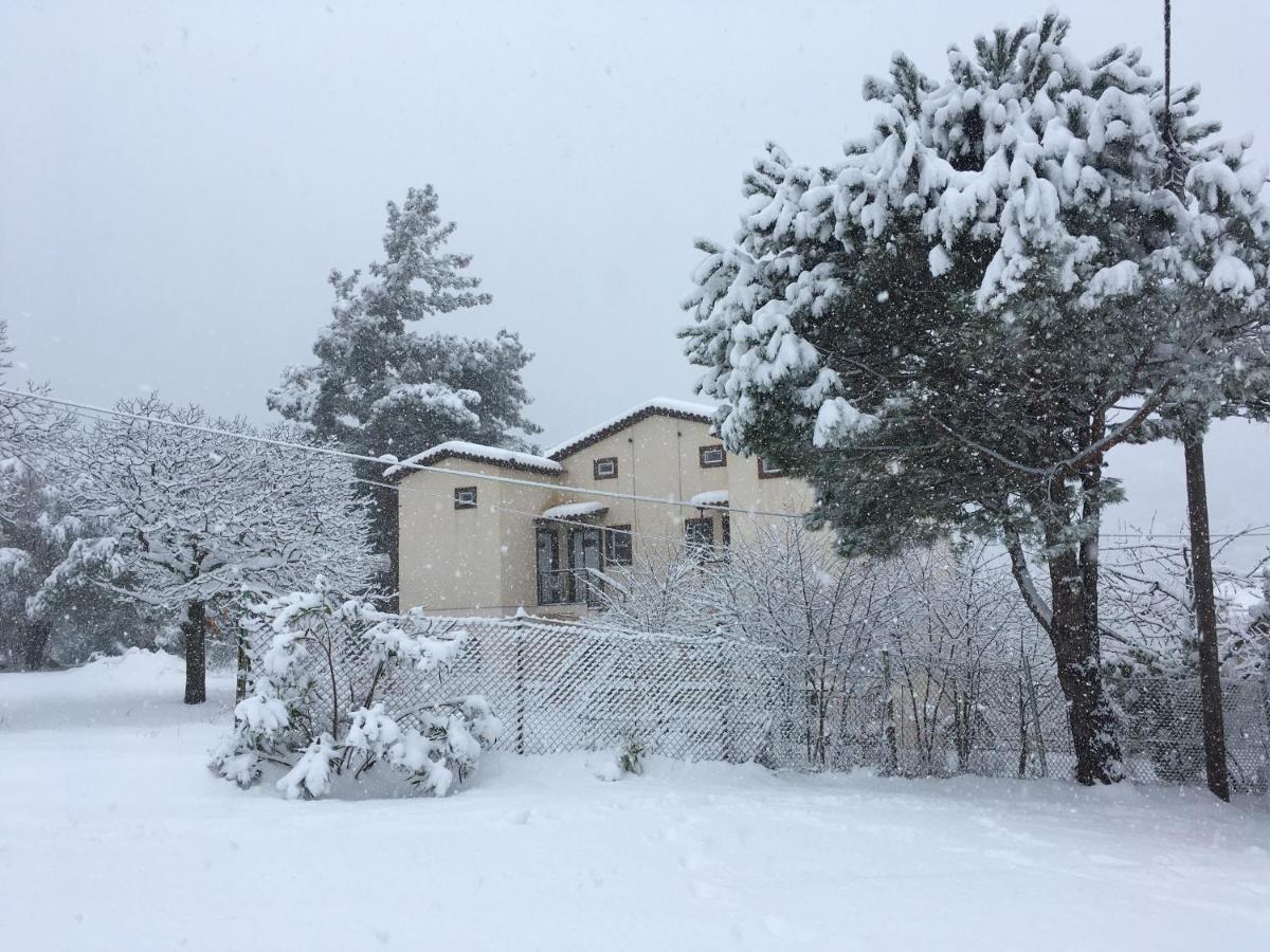 Loft Raxes Kastanies Ikaria # 6 Apartment *