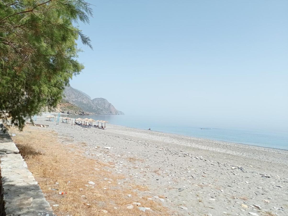 Zorbas Hotel Sougia