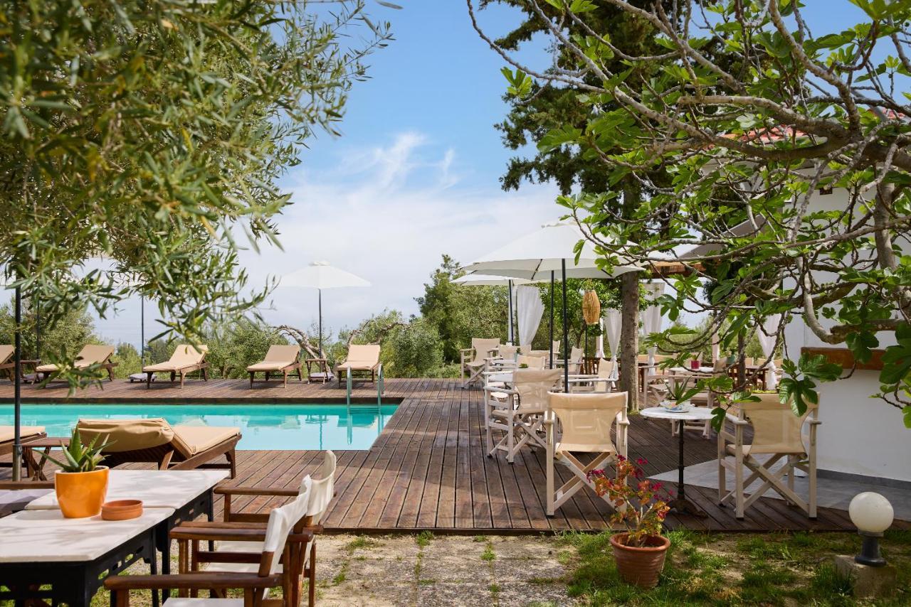 Apartment Kopana Pefkochori