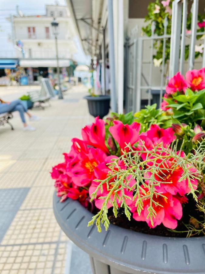 Apartment Nisel Seaside Paralia Katerinis