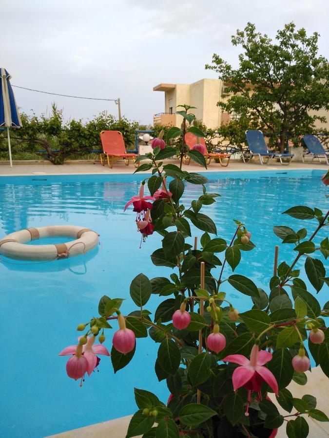 Creta Sun 2* Agia Pelagia (Crete)