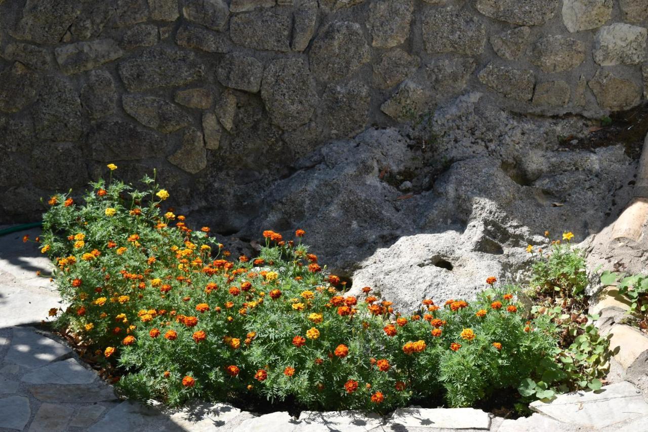 Villa Estate Dafnopanagia Magda *