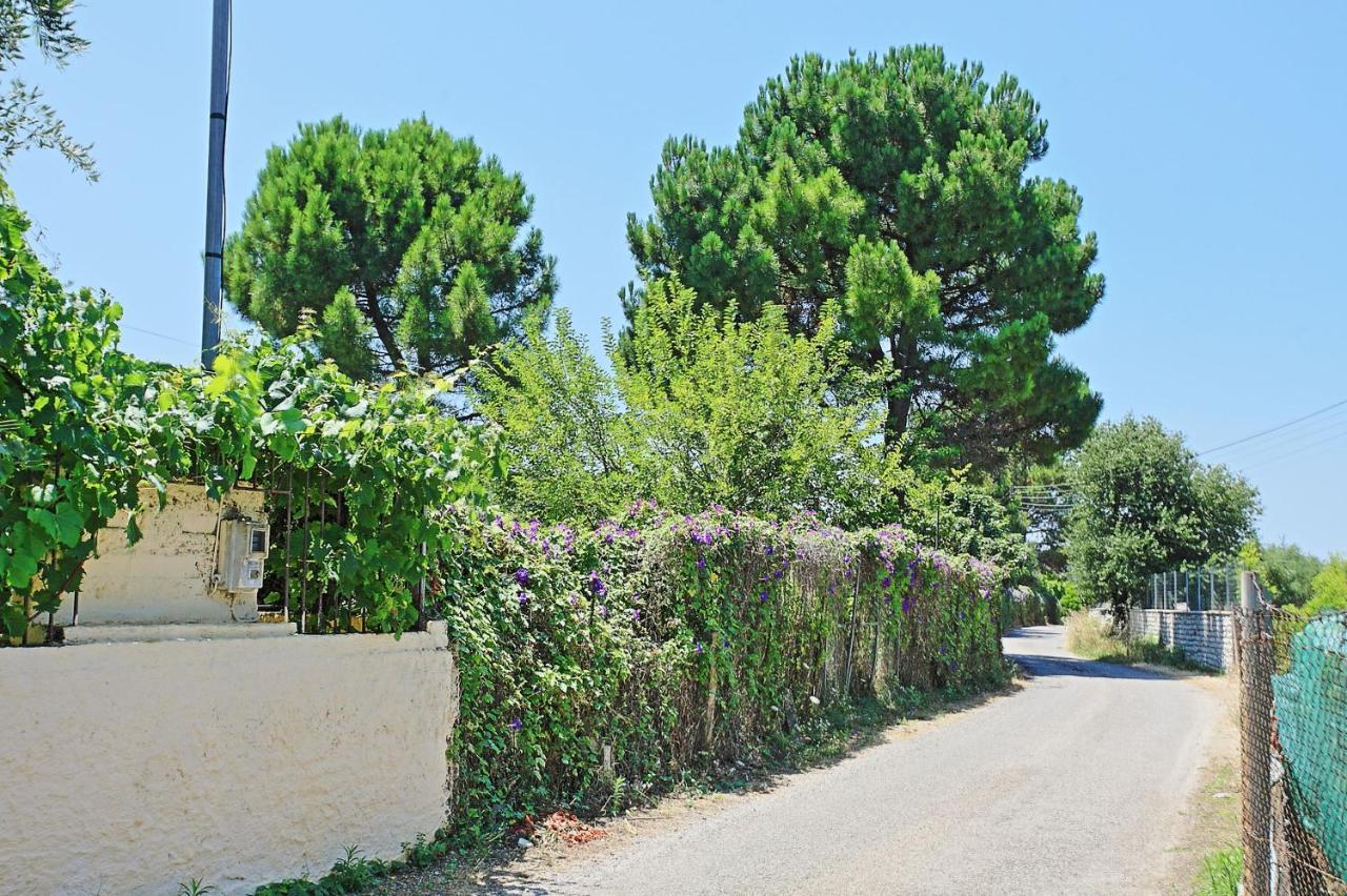 Apartment Dalia