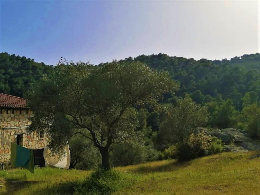Wood & Stone Dream View House B * Diaporos