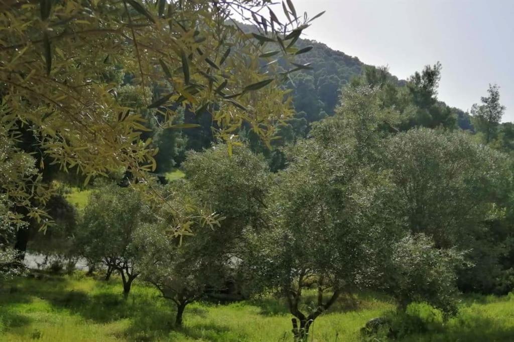 Holiday home Wood & Stone Dream View House B Diaporos