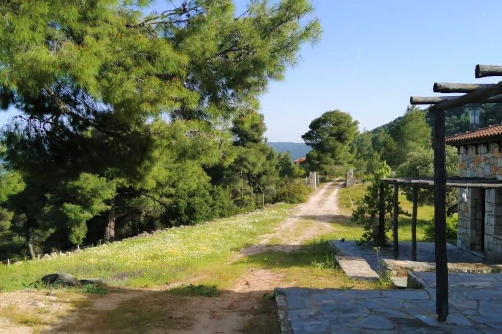 Wood & Stone Dream View House B * Diaporos