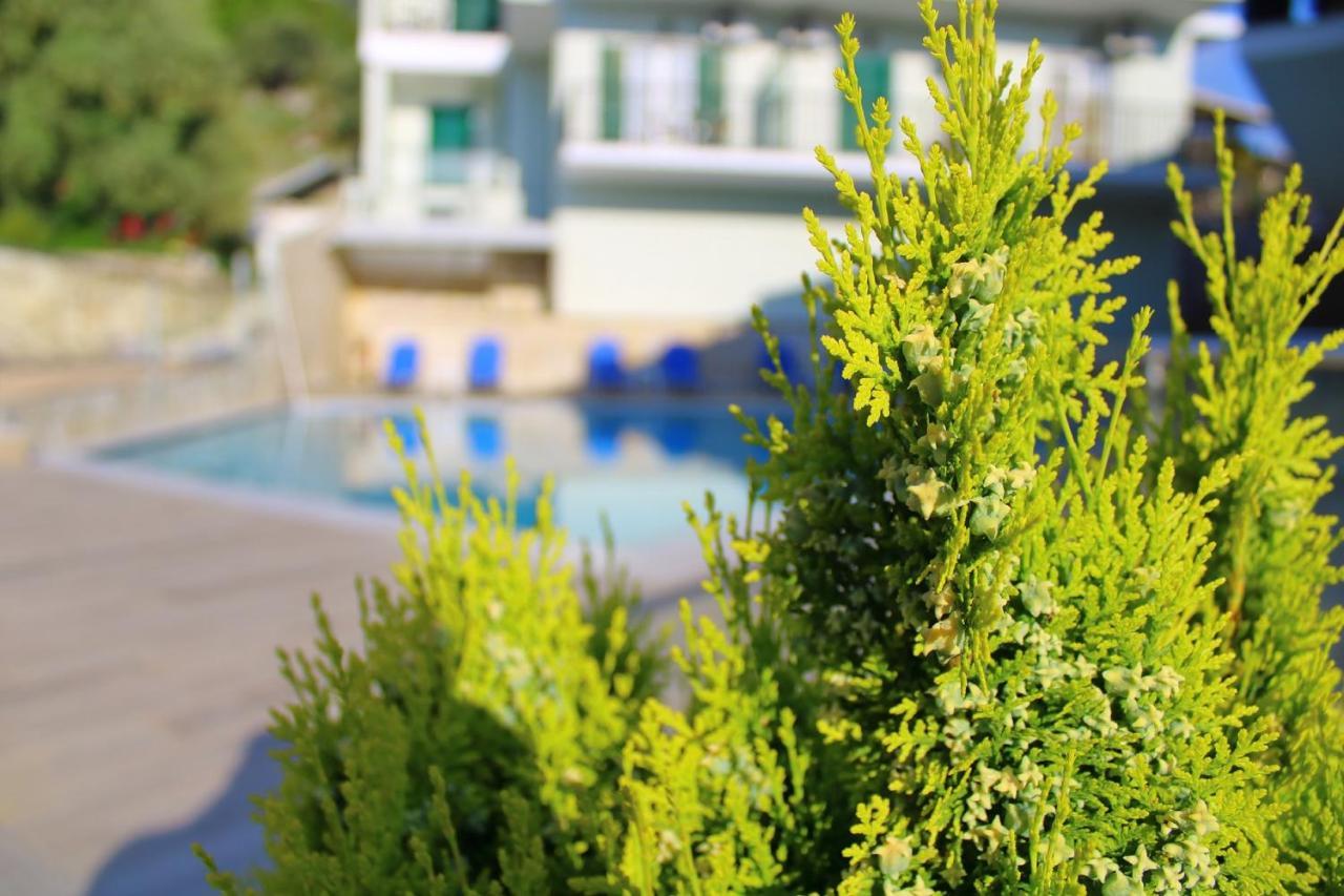 Vergina Star Hotel 3*