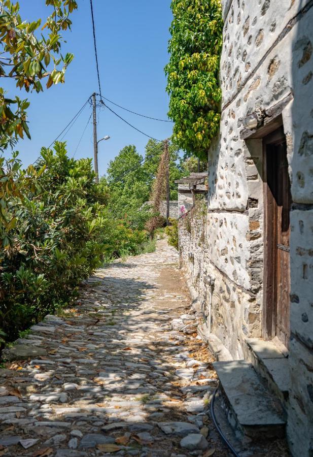 Holiday home Pelion House With Stunning View To Relax Vizitsa