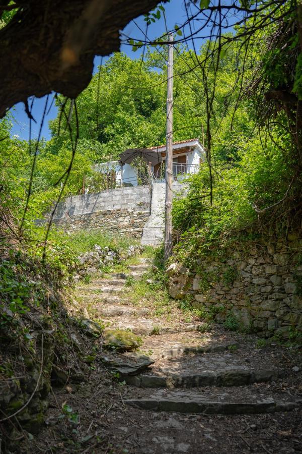 Pelion House With Stunning View To Relax Vizitsa