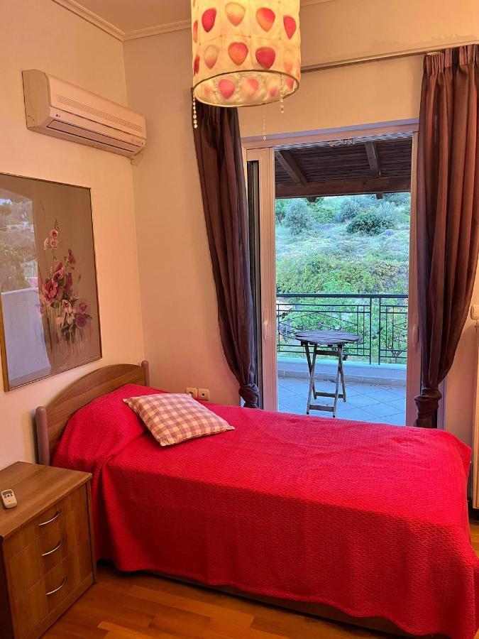 Sul Mare Apartment