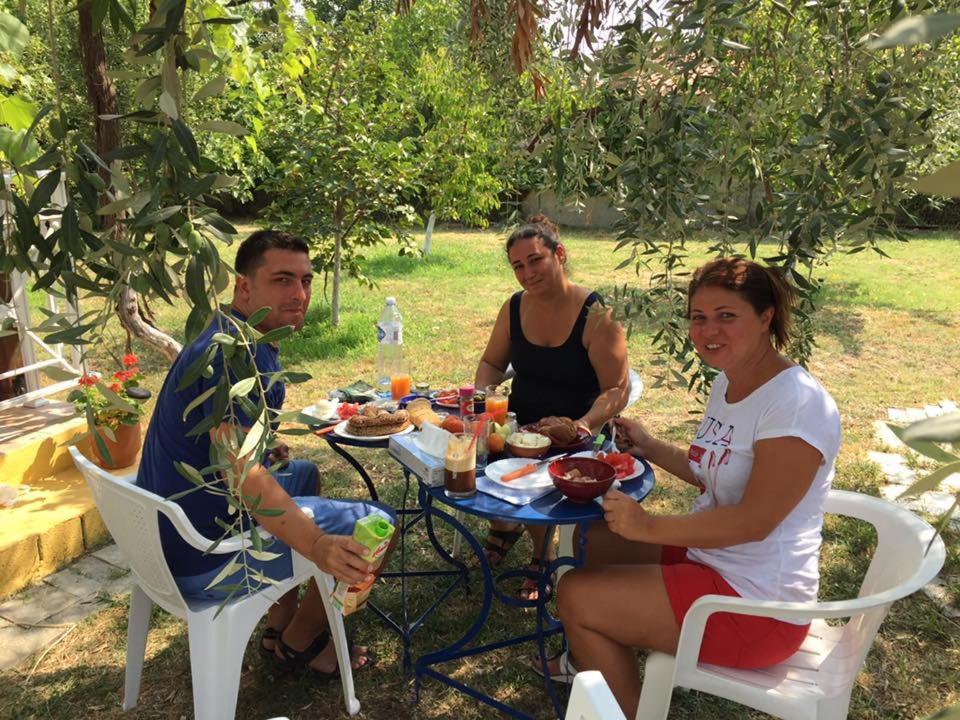 Port Pet Friendly Limenas (Thasos)