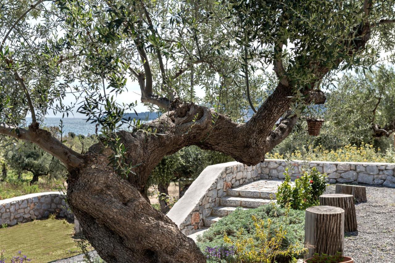 Aparthotel The Olive Yard 3*