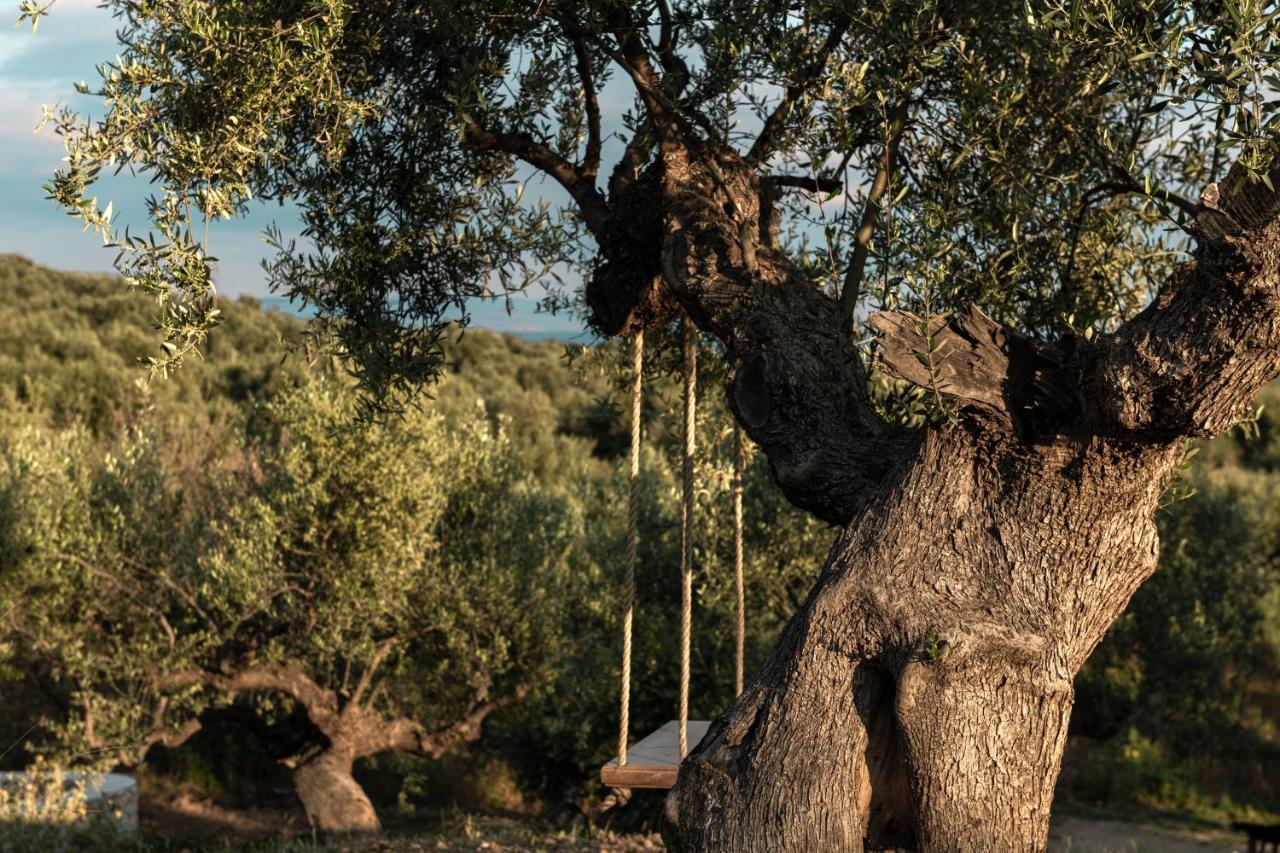 The Olive Yard Gythio