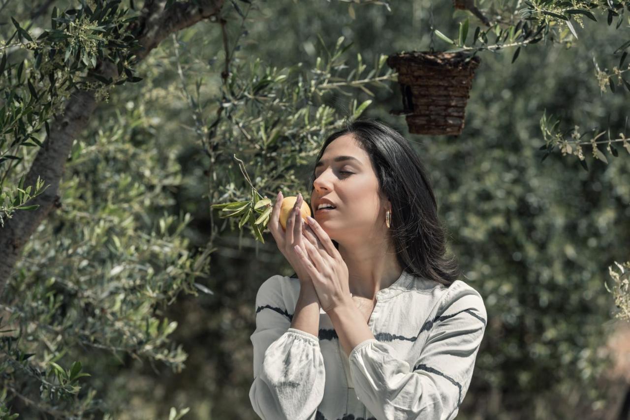The Olive Yard 3* Gythio