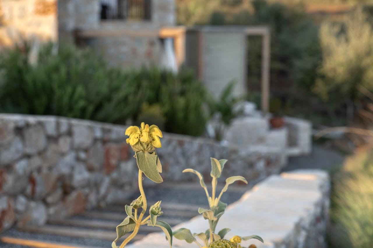 The Olive Yard Aparthotel 3*
