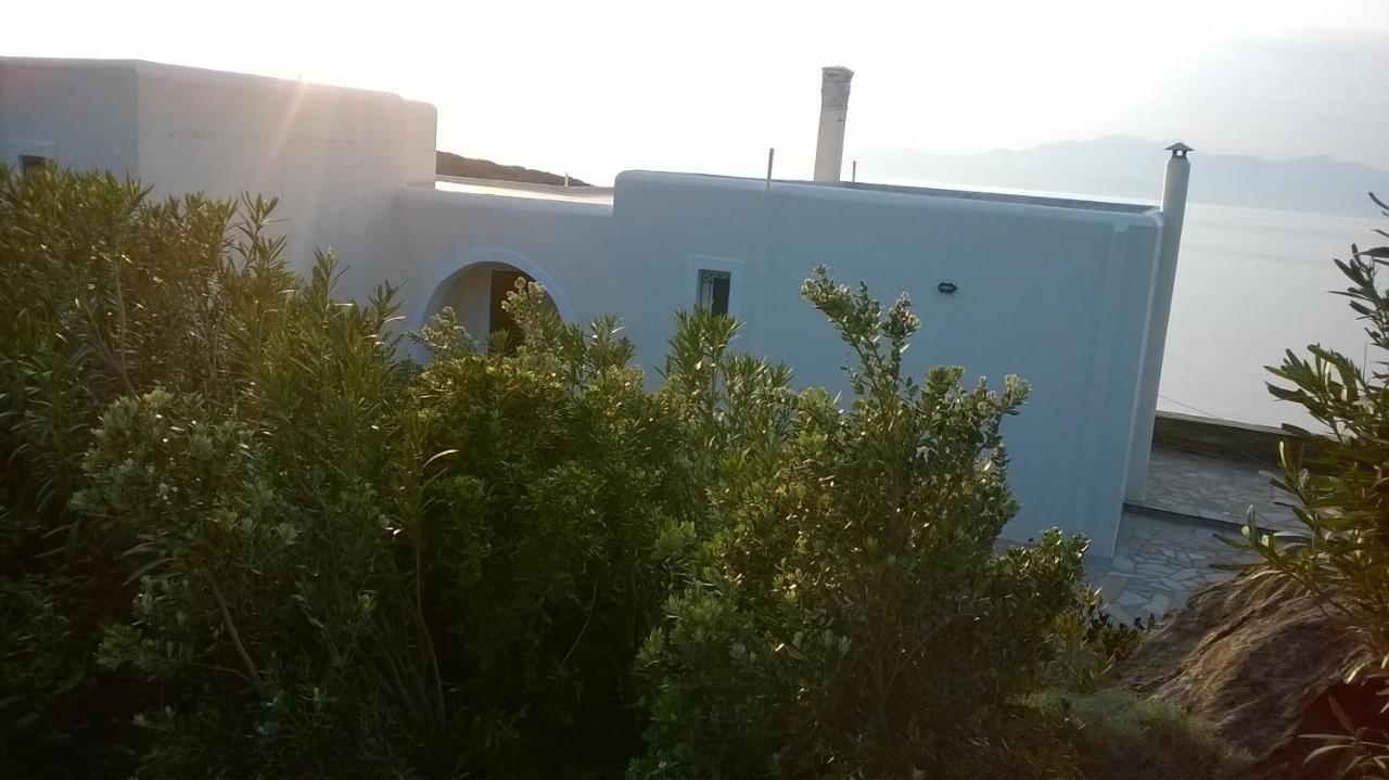 Apartment Andros Eco