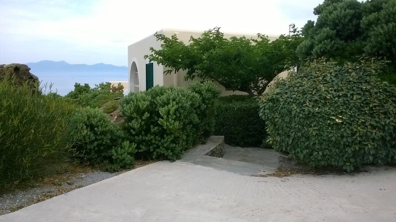 Andros Eco Apartment