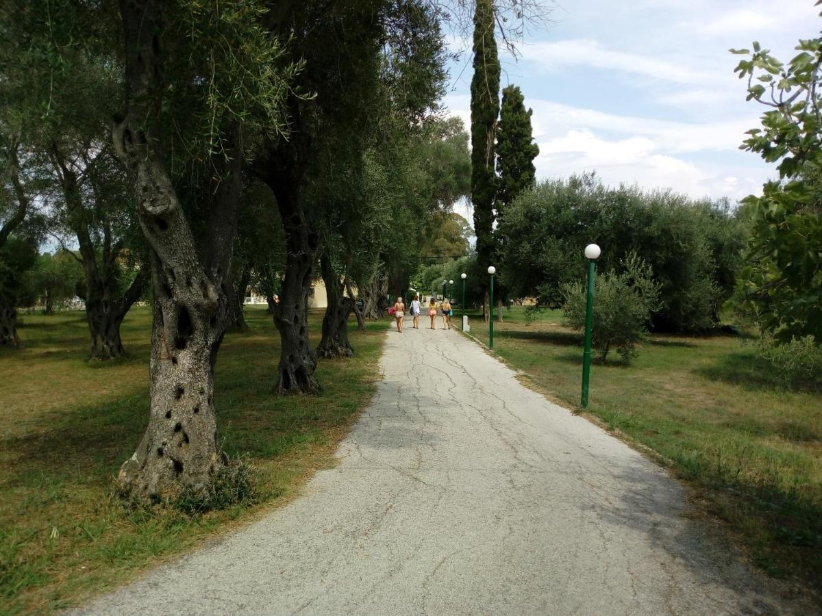 Oliveland Kavos