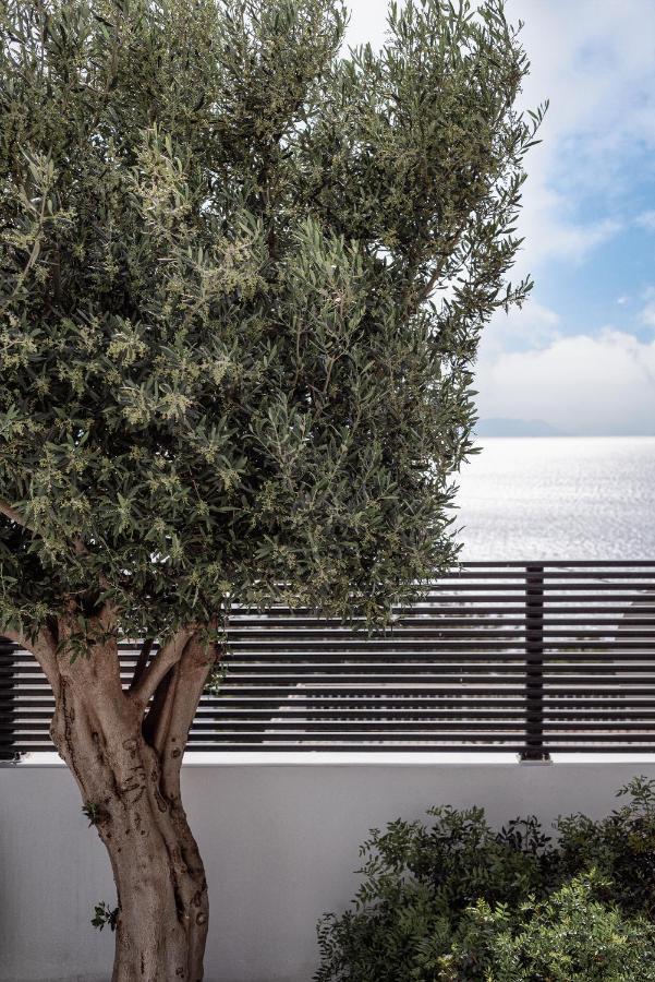 Black Stone Villa *
