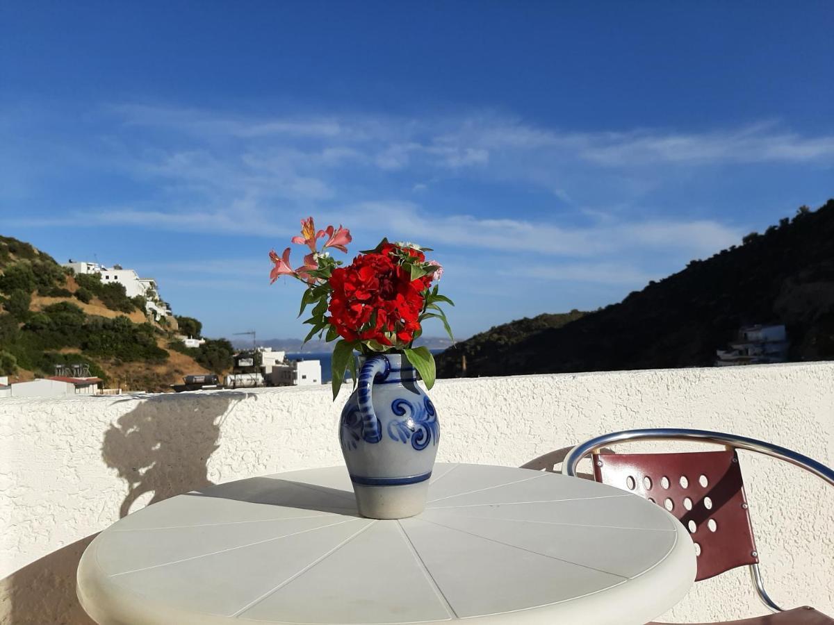 Ostria Agia Galini (Crete)