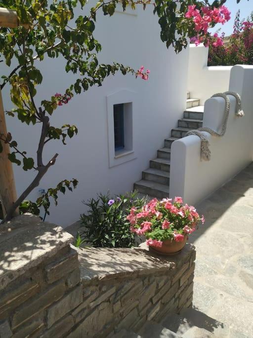 Evilou's House * Krotiri