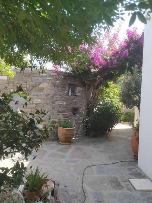 Guest house Evilou's House