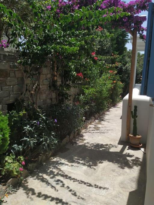 Guest house Evilou's House *