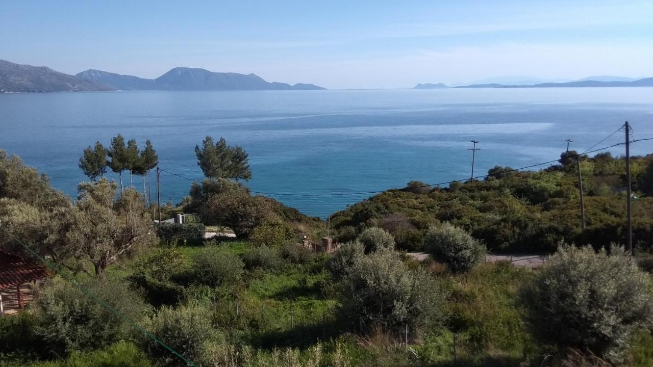 Apartment Ilios Pogonia