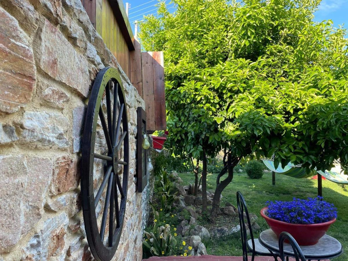 Apartment Aggeliki Prinos (Thasos)