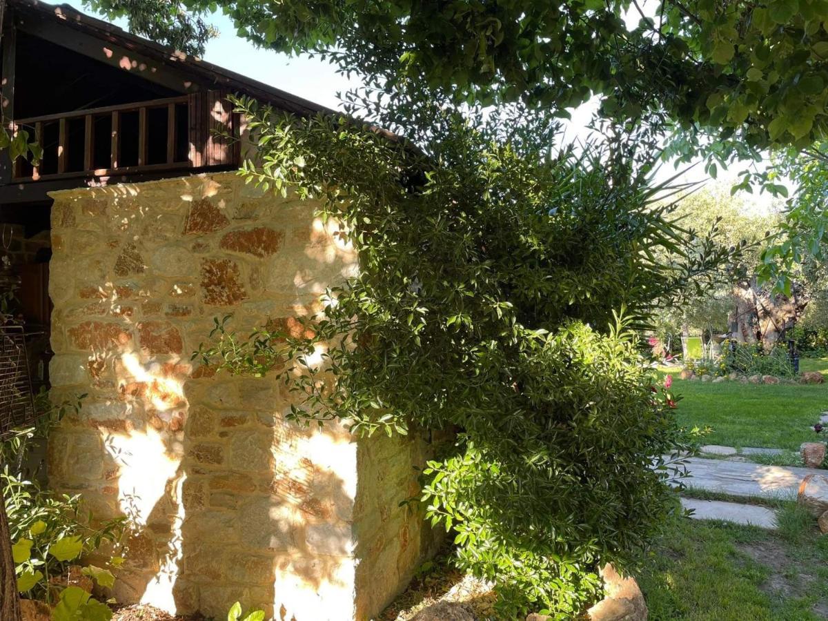 Aggeliki Apartment