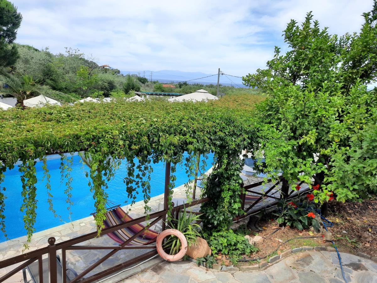 Seralis Pelion Afissos