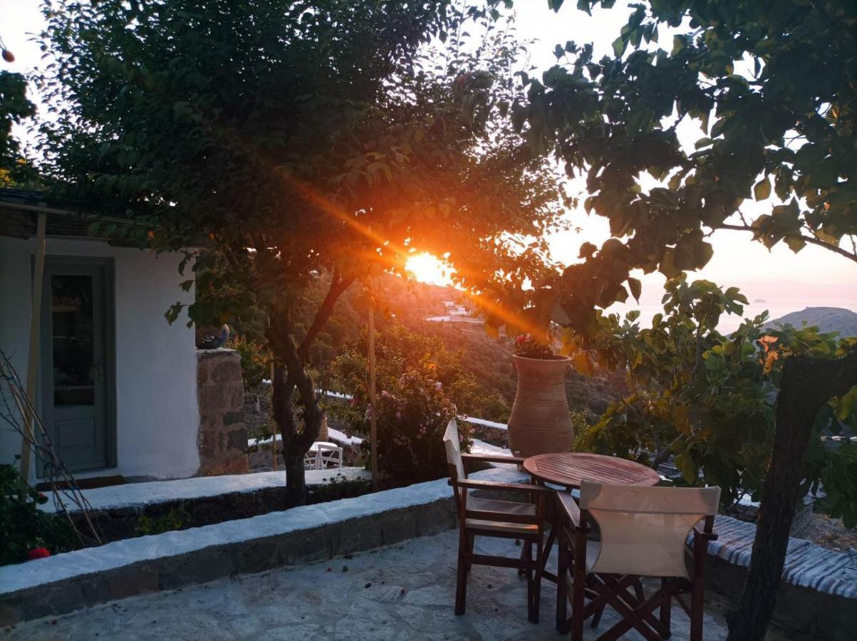 Apartment Traditional Chora *
