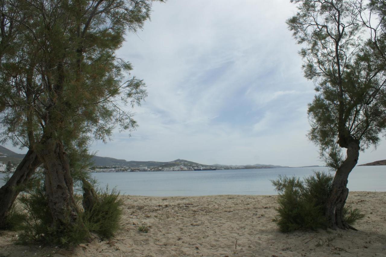 Eleftheria Hotel Parikia (Paros)
