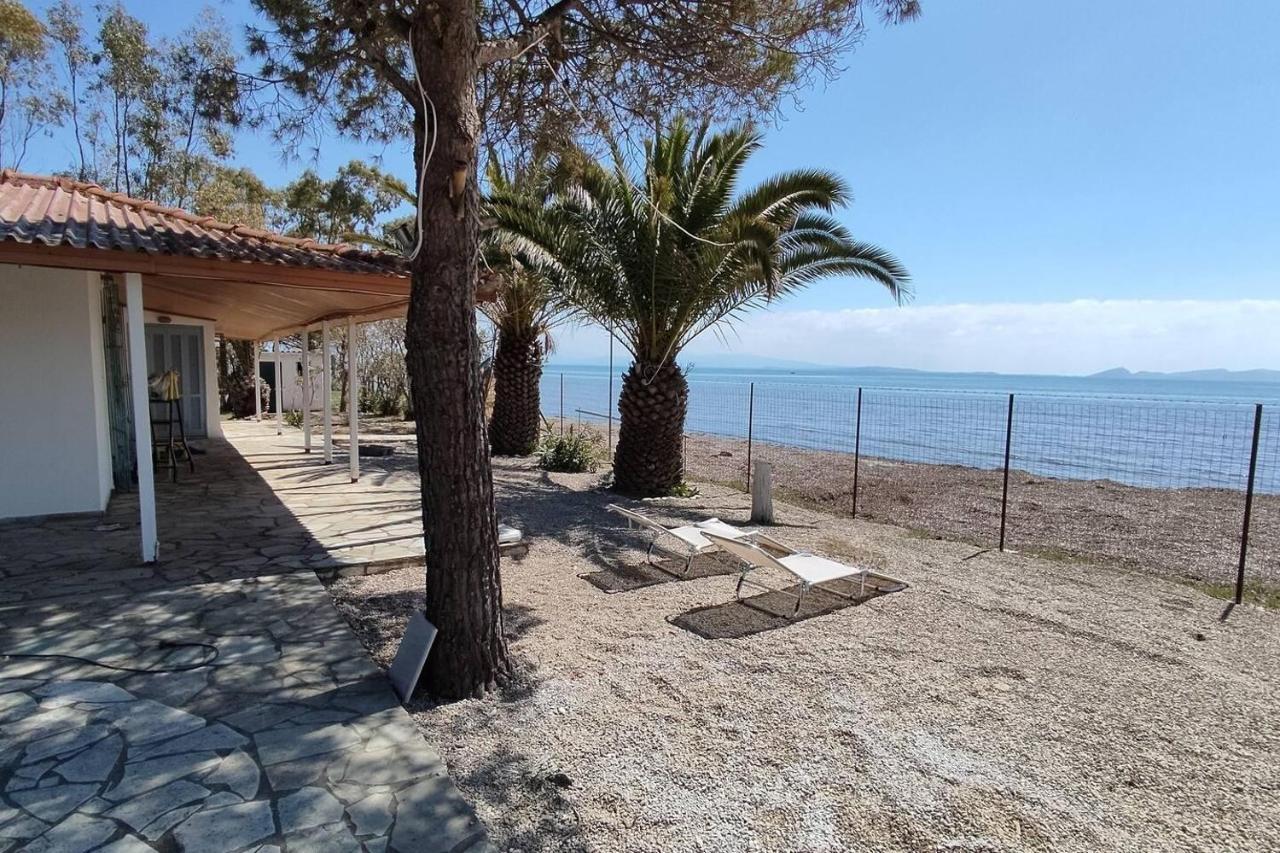Beachfront 2br Garden Bbq Seaview Quietretreat Missolonghi