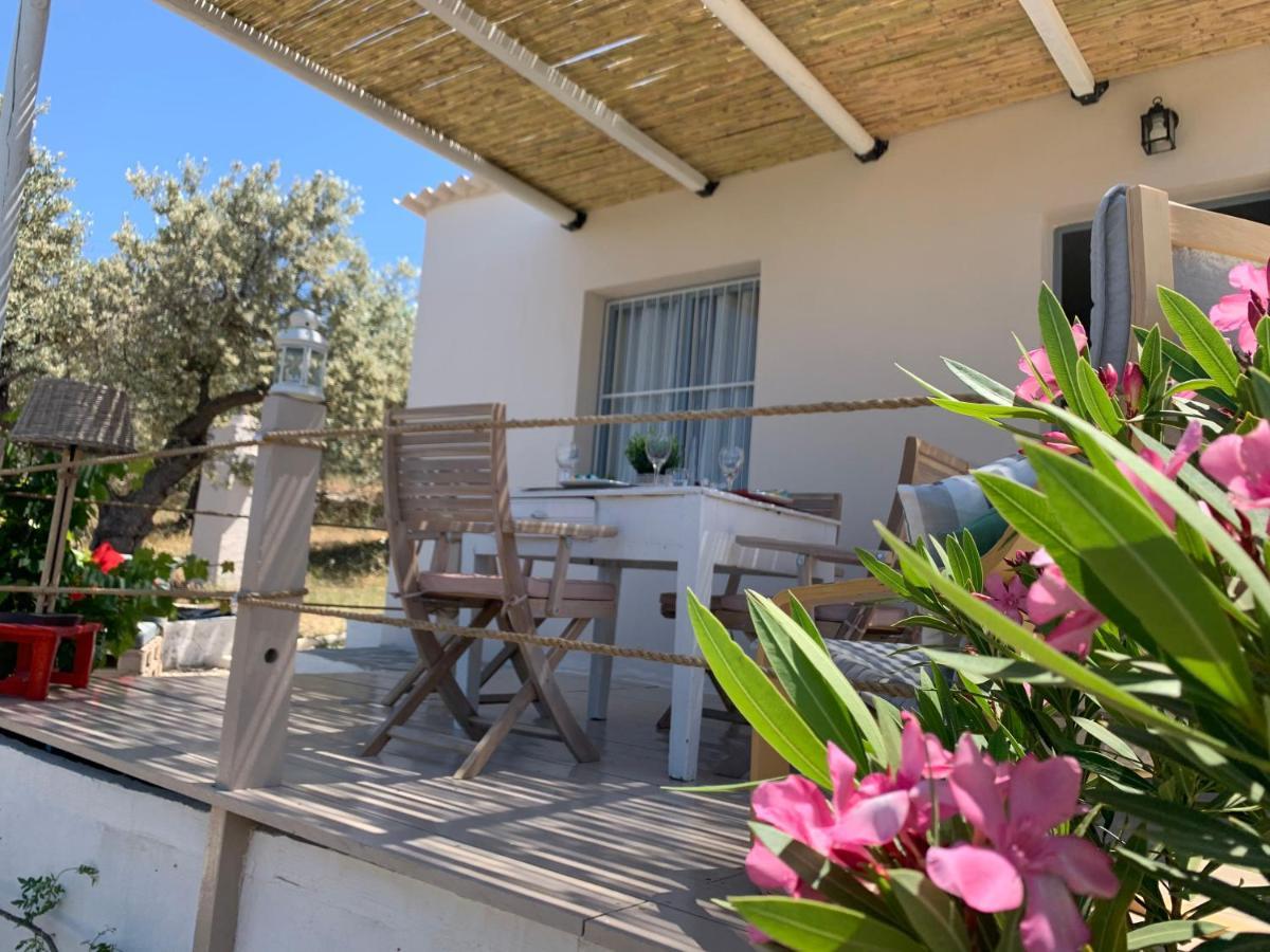 Olive Hill Private House Poros Town