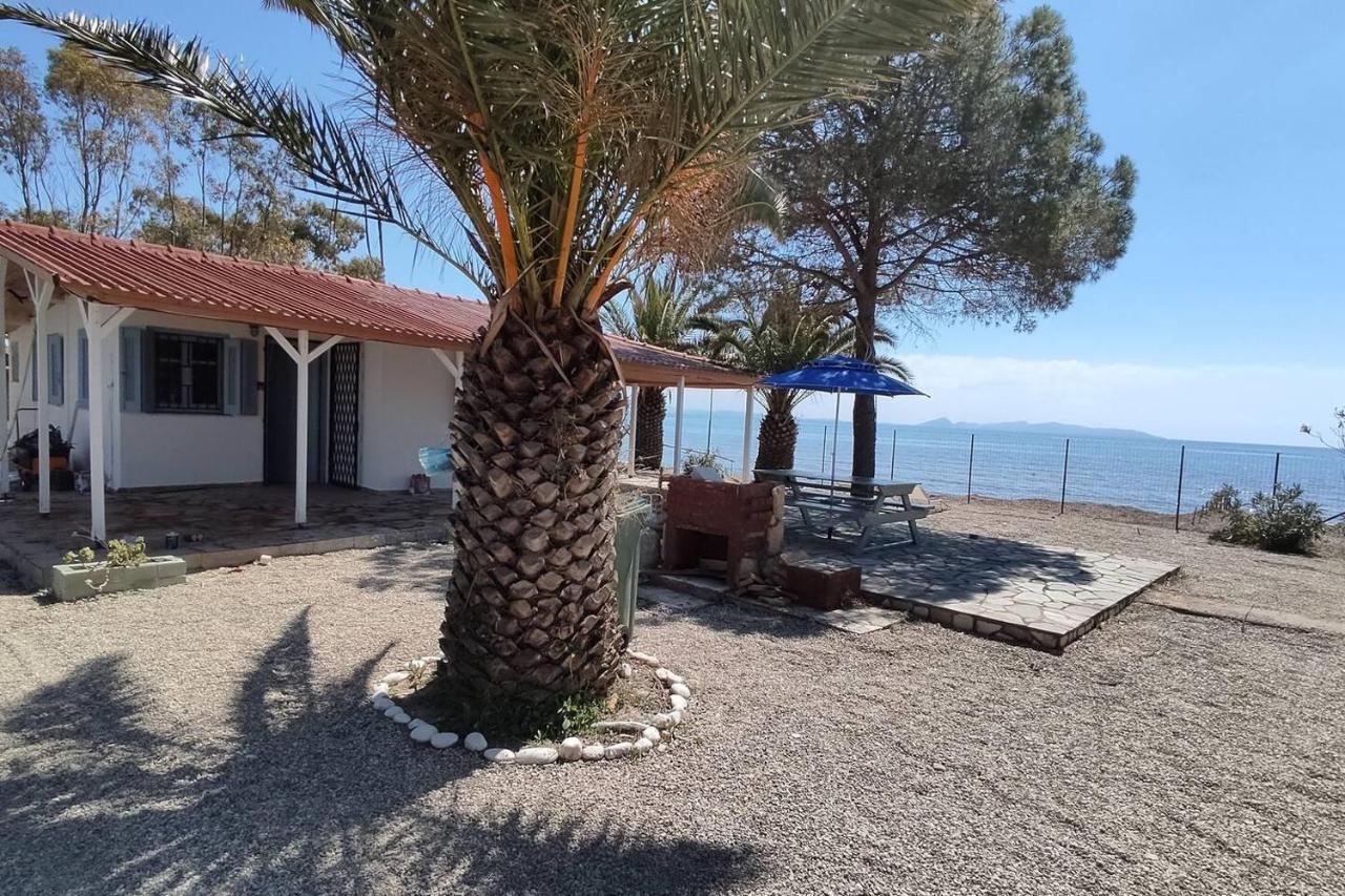 Beachfront 2br Garden Bbq Seaview Quietretreat Holiday home *
