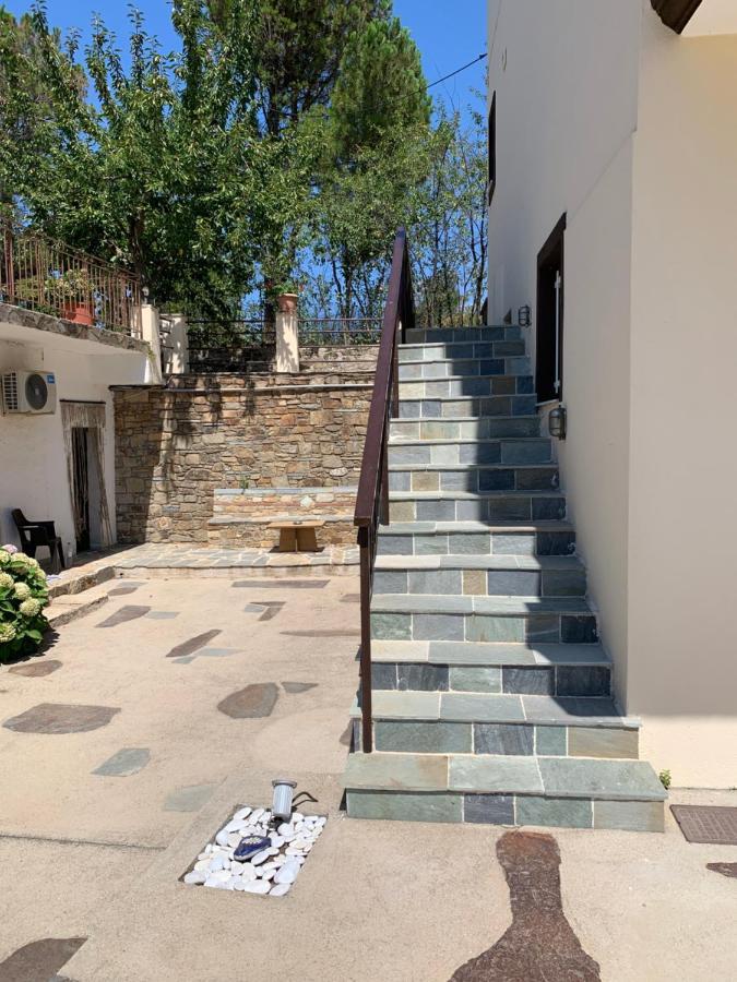 Apartment Despina Raxes Ikaria #2 Raches (Ikaria)